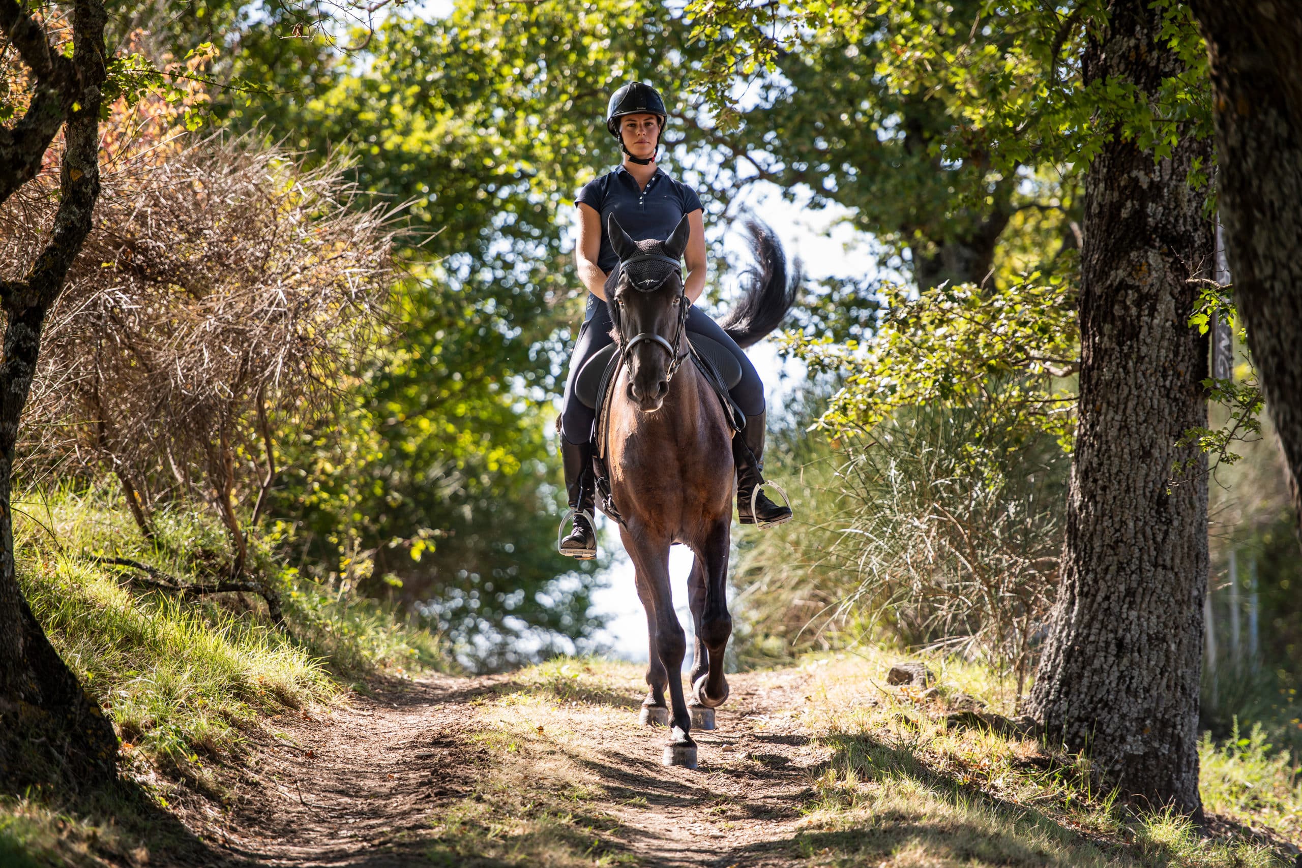 Cavalière sur un cheval dans un chemin de forêt dans le luberon